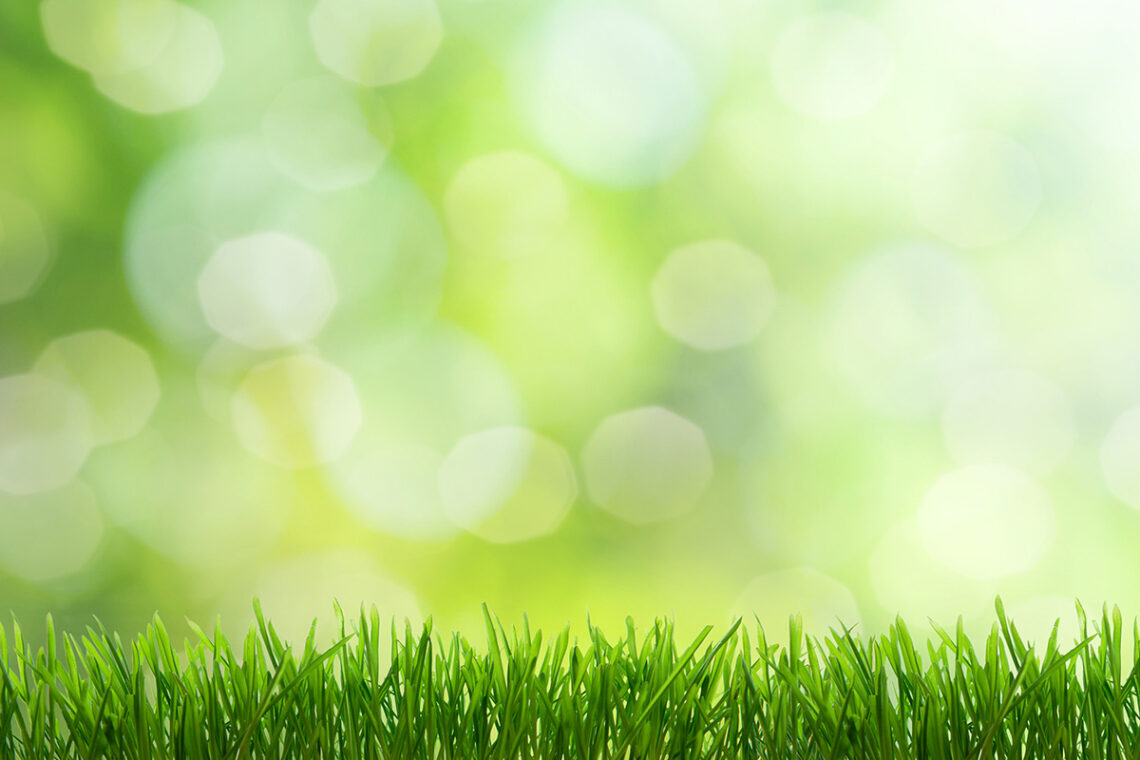 Bamberg: Fiasko für den Breitensport 10 kunstrasen