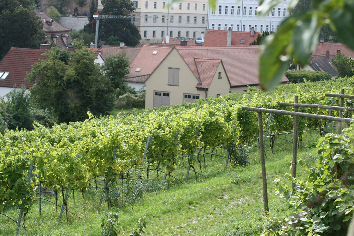 michaelsberg stiftsgarten