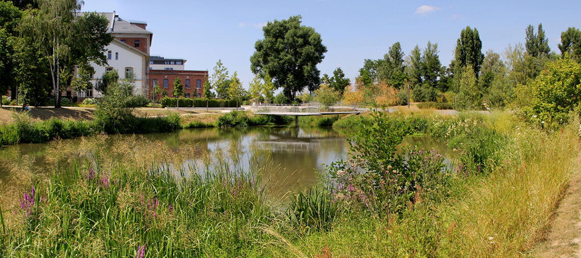 bamberg on tour erba park