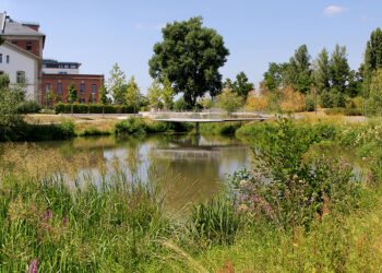 Bamberger Parks im Wandel 15 bamberg on tour erba park