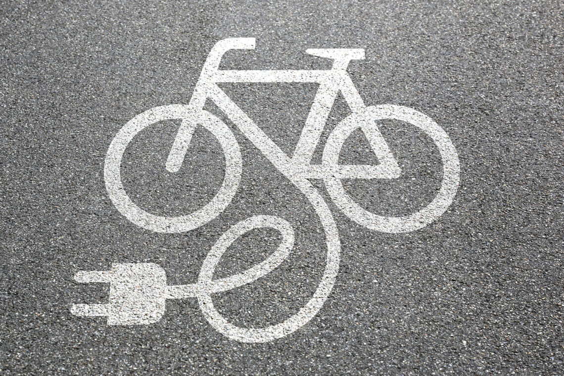 pedelec fahrrad