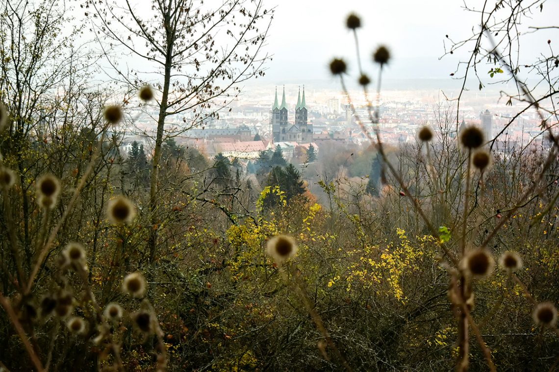 dom bamberg panorama altstadt