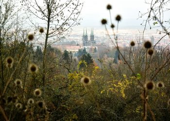 dom bamberg panorama altstadt