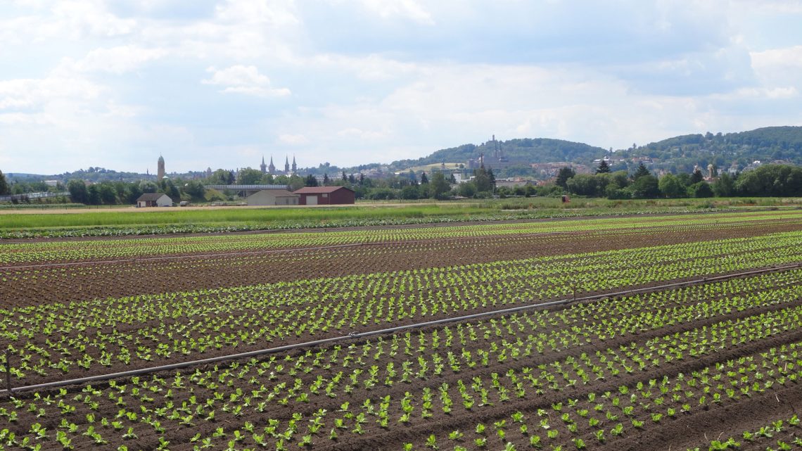 „Schwammstadt Bamberg“ bei bayernweitem Pilotprojekt dabei 10 nordflur-bamberg