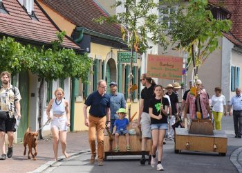 Die Wanderbaumallee ist umgezogen von der Nördlichen Promenade in die Färbergasse, Quelle: Stadt Bamberg, MitMachKlima