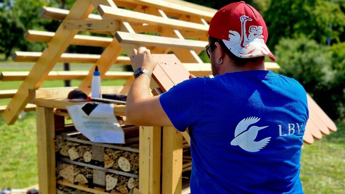 Florian Reihs (LBV Bamberg) deckt das Dach des Insektenhauses in der Parkanlage am Heidelsteig, Quelle:  Landesbund für Vogel- und Naturschutz in Bayern e.V (LBV)