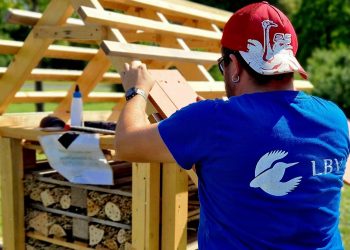 Florian Reihs (LBV Bamberg) deckt das Dach des Insektenhauses in der Parkanlage am Heidelsteig, Quelle:  Landesbund für Vogel- und Naturschutz in Bayern e.V (LBV)