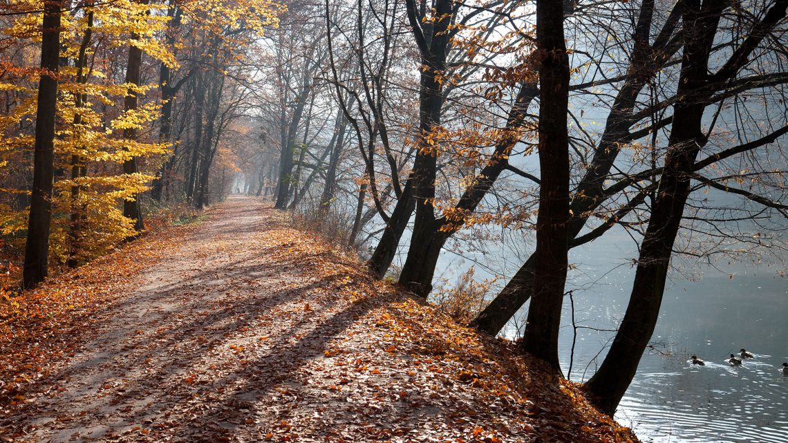 bamberg-herbst-hain