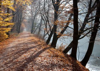 bamberg-herbst-hain