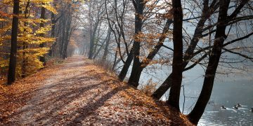 bamberg-herbst-hain