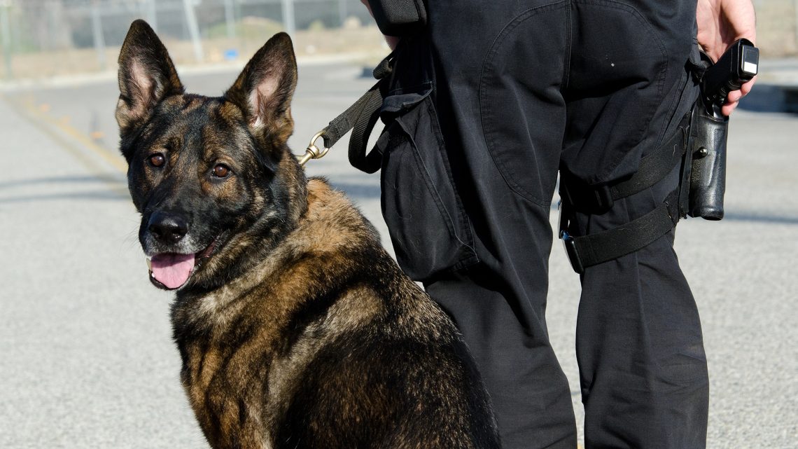 polizeibericht bamberg