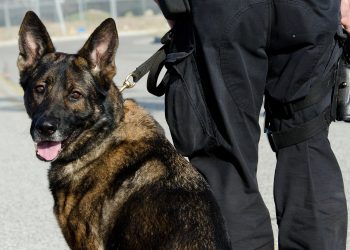 polizeibericht bamberg