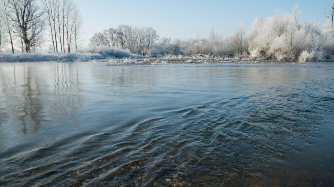 Das Flussparadies Franken setzt sich für naturnahe Gewässer und Auen ein. Es ist für seine Arbeit 2024 mit dem Bayerischen Umweltpreis und dem Qualitätssiegel Umweltbildung.Bayern ausgezeichnet worden. Quelle: Flussparadies Franken.