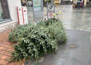 Bildunterschrift: In der Austraße findet die Christbaumabfuhr am 22.
Januar 2025 statt. Doch bereits zwei Wochen vorher versperren dort
wild abgelagerte Christbäume den Gehweg. Quelle: Baureferat