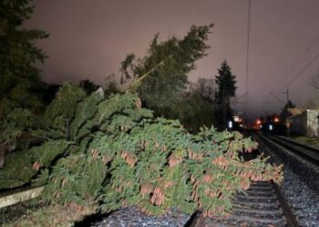 Feuerwehreinsatz 09.01 - Baum auf den Gleisen. Quelle: Feuerwehr Bamberg