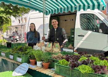Neuer Bio-Gemüsestand auf dem Bamberger Bauernmarkt 15 Simon Moser mit Mitarbeiterin Nelly Düsel am Marktstand. Quelle: Landratsamt Bamberg / Nastvogel
