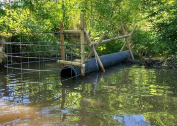 Bamberg setzt auf smarte Lösung für Biberdamm im Sendelbach 13 Die Biberdammdrainage ermöglicht eine gezielte Regulierung des
Wasserstands im Sendelbach
Quelle: Stadt Bamberg, Thomas Fischer