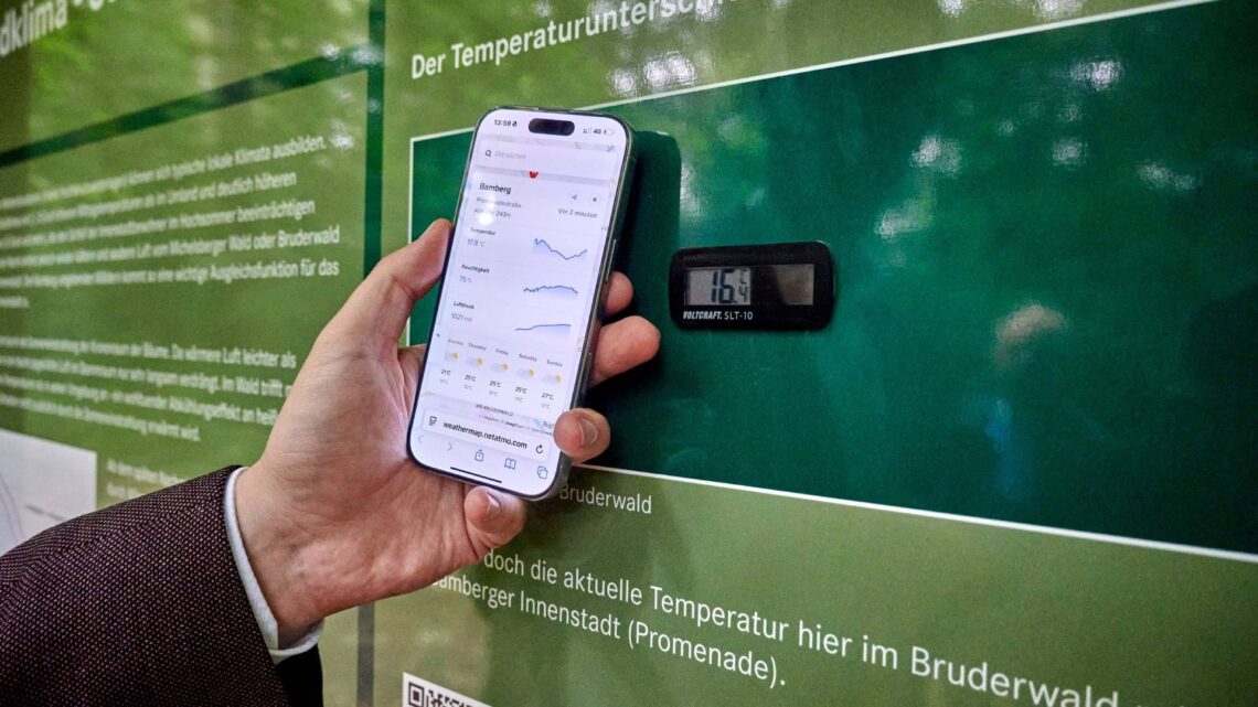 An der Tafel „Waldklima – Stadtklima“ werden
Temperaturunterschiede im Wald und in der Stadt anschaulich: Ein
Thermometer zeigt die aktuelle Temperatur im Wald an, während ein
QR-Code es ermöglicht, die Temperatur direkt auf dem Smartphone
mit der Temperatur in der Bamberger Innenstadt (Promenade) zu
vergleichen. Quelle: Stadt Bamberg, Sonja Seufferth