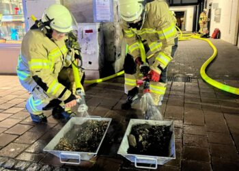 Einsatzbild zum Feuerwehreinsatz am 17.082025. Quelle: Feuerwehr Bamberg