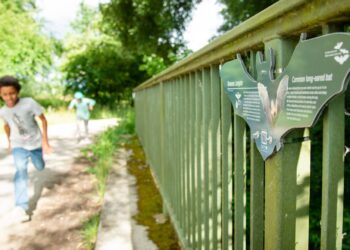 Auf dem Fledermausweg Viereth-Unterhaid können Familien Spannendes über heimische Fledermäuse wie das Braune Langohr erfahren. Foto: Thomas Ochs