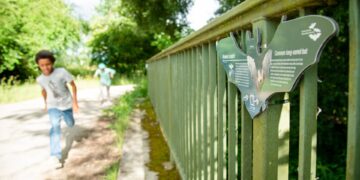 Auf dem Fledermausweg Viereth-Unterhaid können Familien Spannendes über heimische Fledermäuse wie das Braune Langohr erfahren. Foto: Thomas Ochs
