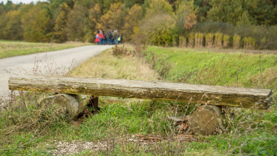 Der Karpfenweg führt durch die für die Ausläufer des Steigerwaldes typische fränkische Hügellandschaft. Zwischen den Feldern liegen kleineren Waldstücke. Quelle: Thomas Ochs