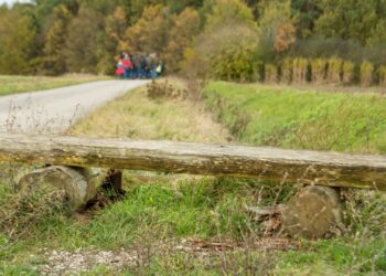 Der Karpfenweg führt durch die für die Ausläufer des Steigerwaldes typische fränkische Hügellandschaft. Zwischen den Feldern liegen kleineren Waldstücke. Quelle: Thomas Ochs