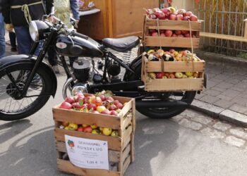 Apfel-Motorrad mit Ratespiel des OGV Steppach. Quelle: Landratsamt Bamberg / Klemisch