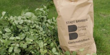 Mit Juteschnur gebündelt oder im braunen Gartenabfallsack: So
klappt’s mit der reibungslosen Grüngutabfuhr. Quelle: Bamberg Service