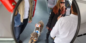 Optimierung für Ältere und Menschen mit Behinderung. Quelle: Stadtwerke Bamberg