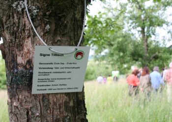 Das Obstparadies Bamberger Land lädt zu Führungen und Aktionen rund ums Streuobst ein. Quelle: Alexandra Klemisch