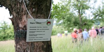 Das Obstparadies Bamberger Land lädt zu Führungen und Aktionen rund ums Streuobst ein. Quelle: Alexandra Klemisch