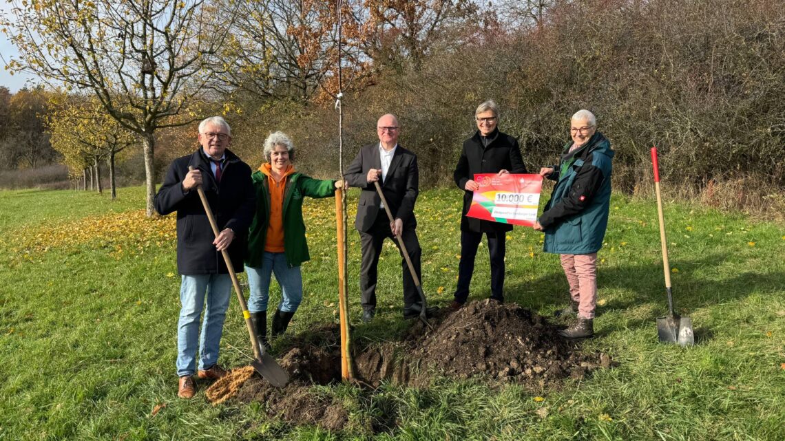 Baumpflanzaktion und Spendenübergabe durch die Sparkasse Bamberg (v. l.): Vorsitzender des Kreisverbandes für Gartenbau und Landespflege Bamberg, Landrat Johann Kalb, Kreisfachberaterin Alexandra Klemisch, Vorstandsvorsitzender der Sparkasse Bamberg, Stephan Kirchner, Mathias Polz, Sparkasse Bamberg, Kreisfachberaterin Claudia Kühnel. (Quelle: Landratsamt Bamberg/Bartl)