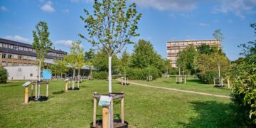 MitMachKlima zeigt deutliche Wirkung in Bamberg 16 Bereits im Jahr 2023 wurde das Klima-Arboretum am Heidelsteig
angelegt. Quelle: Stadt Bamberg, Sonja Seufferth