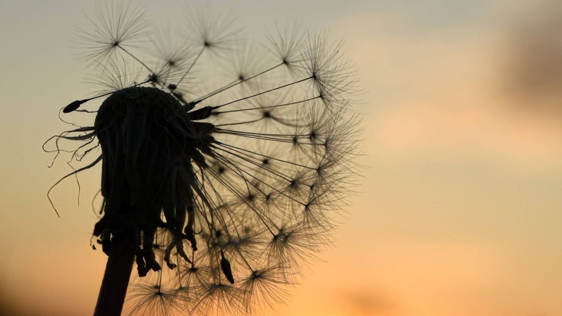 Bamberger Umweltkalender 2026: Infos für ein nachhaltiges Jahr 10 Fotos aus dem Umweltkalender 2026. Quelle: Stephanie Pröpster