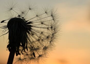 Bamberger Umweltkalender 2026: Infos für ein nachhaltiges Jahr 17 Fotos aus dem Umweltkalender 2026. Quelle: Stephanie Pröpster