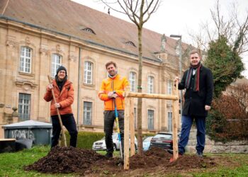 Christian Baumgärtner (MitMachKlima),
Michael Weber (Bamberg Service/Baumkontrolle), Bürgermeister
Jonas Glüsenkamp. Quelle: Stadt Bamberg, Sonja Seufferth