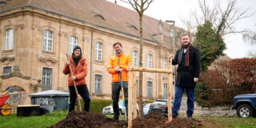 Christian Baumgärtner (MitMachKlima),
Michael Weber (Bamberg Service/Baumkontrolle), Bürgermeister
Jonas Glüsenkamp. Quelle: Stadt Bamberg, Sonja Seufferth