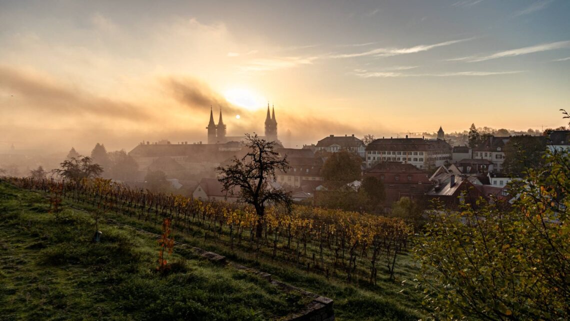 Weinberg am Michaelsberg
© Lara Müller_Bürgerspitalstiftung Bamberg