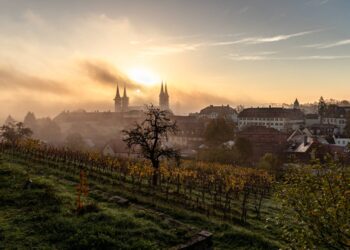 Weinberg am Michaelsberg
© Lara Müller_Bürgerspitalstiftung Bamberg