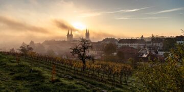 Weinberg am Michaelsberg
© Lara Müller_Bürgerspitalstiftung Bamberg