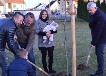 Geburtsbäume im Landkreis Bamberg jetzt online beantragen 14 Archivbild aus 2019: Familie Maislein pflanzte mit Landrat Johann Kalb und Bürgermeister Jochen Hack den ersten Neugeborenen-Baum des Landkreises Bamberg (Quelle: Landratsamt Bamberg)