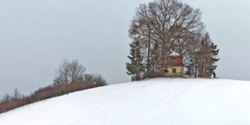 Schlittenwetter in Bamberg: Neuschnee sorgt für Winterfreude 13 schnee-bamberg-3