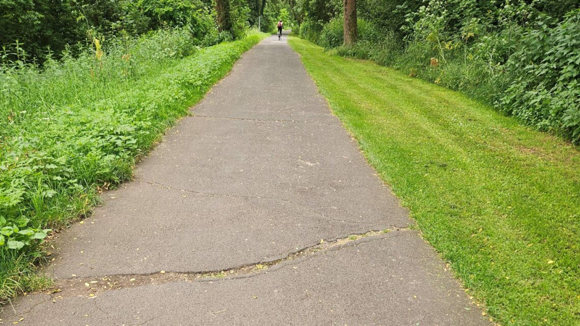 Der Geh- und Radweg am Weegmannufer befindet
sich in einem schlechten Zustand und muss saniert werden. Quelle: Bamberg Service