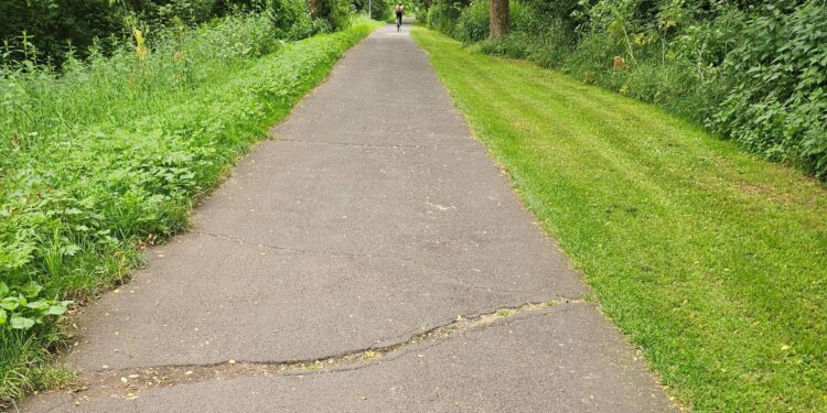Der Geh- und Radweg am Weegmannufer befindet
sich in einem schlechten Zustand und muss saniert werden. Quelle: Bamberg Service