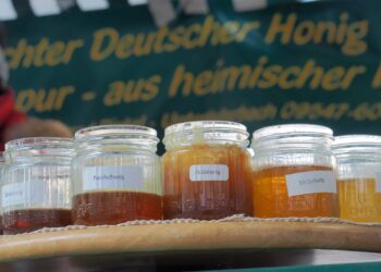 Bamberger Honigmarkt 2026 auf dem Maxplatz 13 Am Faschingsdienstag findet von 7 bis 12 Uhr der traditionelle
Honigmarkt auf dem Maxplatz statt. Quelle: Stadt Bamberg