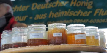 Bamberger Honigmarkt 2026 auf dem Maxplatz 16 Am Faschingsdienstag findet von 7 bis 12 Uhr der traditionelle
Honigmarkt auf dem Maxplatz statt. Quelle: Stadt Bamberg