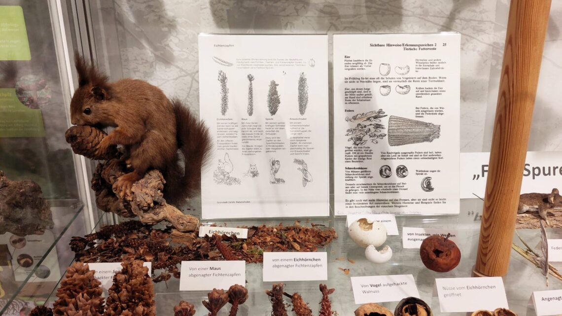 Tierspurenausstellung (Quelle: Ulla Reck)