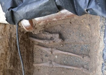 Menschliche Überreste weisen darauf hin, dass sich am heutigen
Maximiliansplatz einst ein Friedhof befunden hat. Foto: Stadt
Bamberg, Dr. Stefan Pfaffenberger