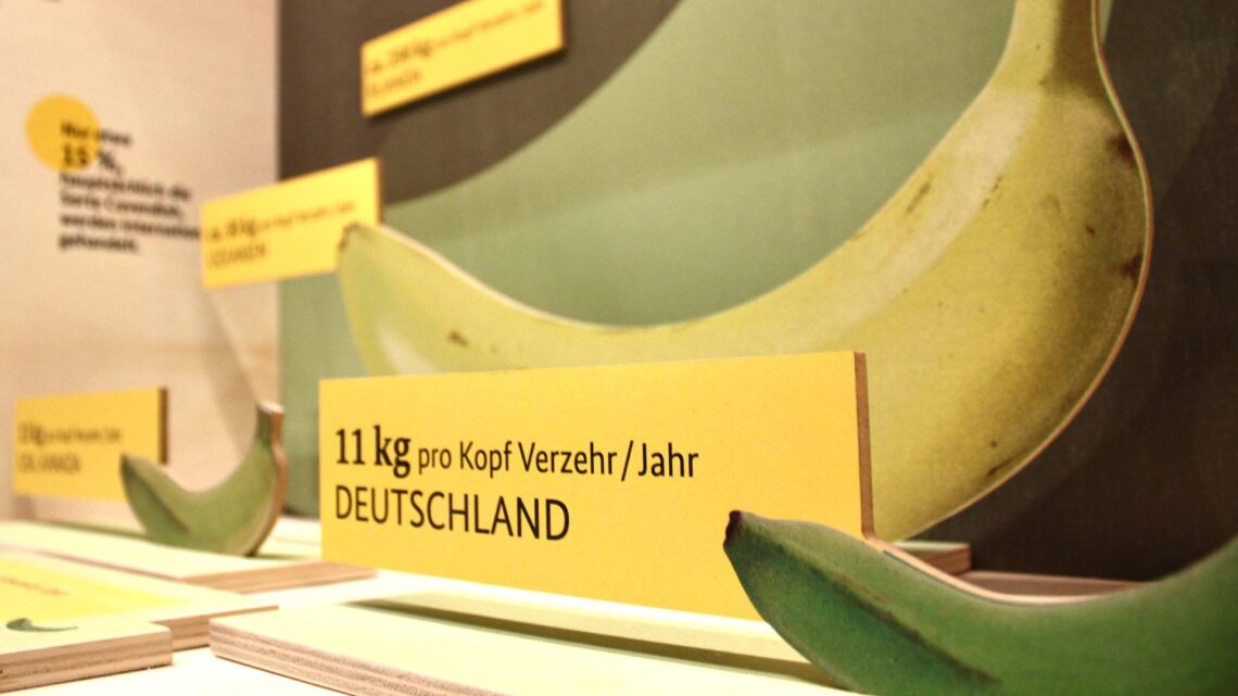 Die Banane ist das Objekt um das sich in der Sonderaustellung 'BananaRama' im Naturkundemuseum in Bamberg ab 31. März 2026 alles dreht. Quelle: RS-GmbH